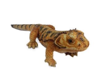 Obrázek z Agama vousatá hnědá plyš 50cm (120) 
